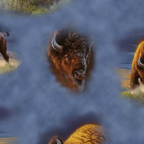 Wild Bison               